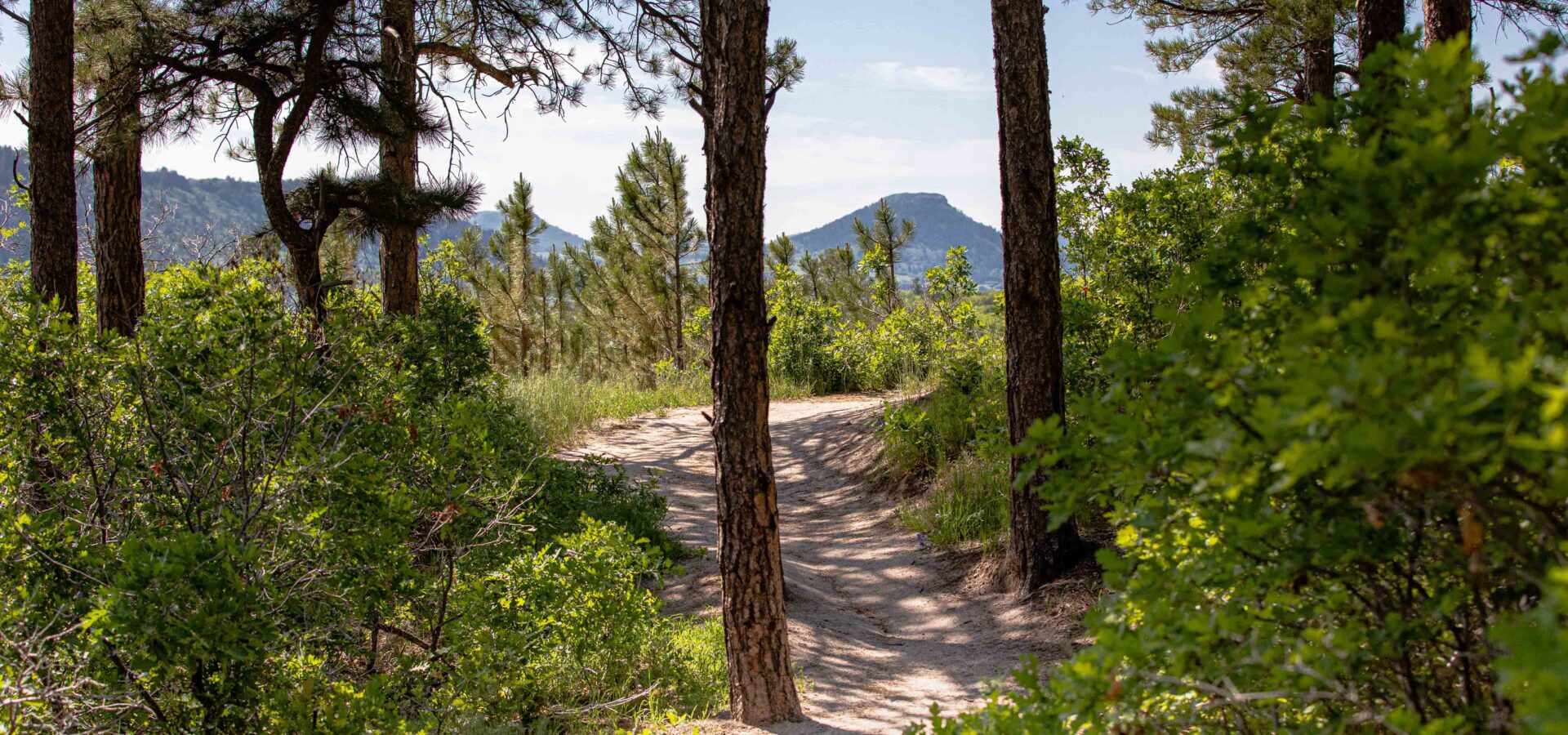 Dawson Butte Open Space