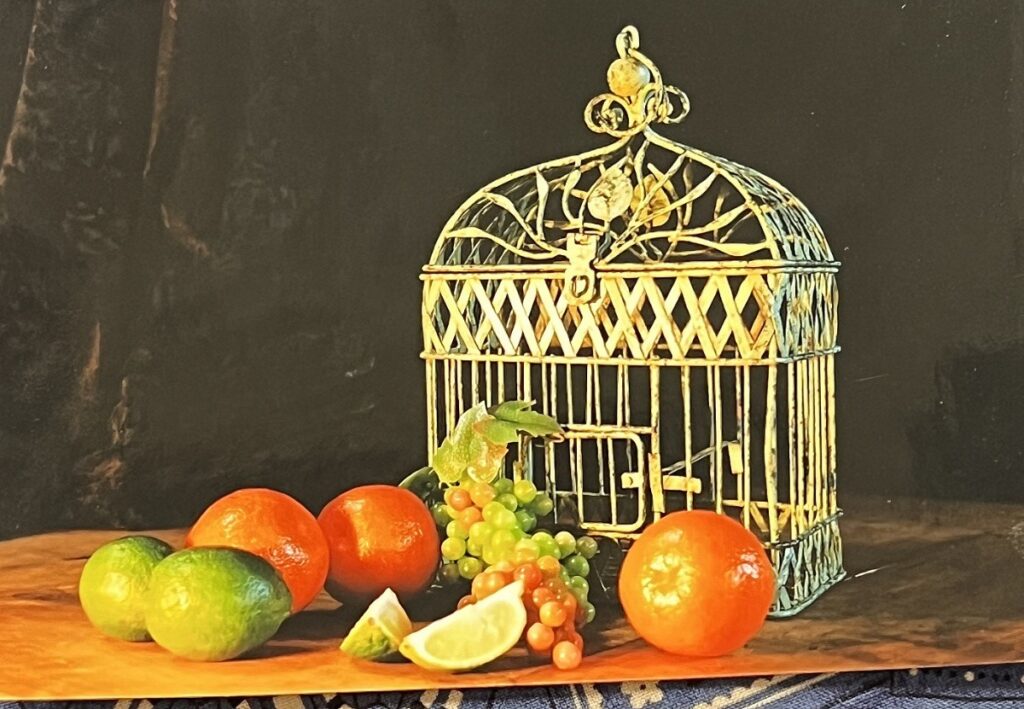 Birdcage and fruit for still life