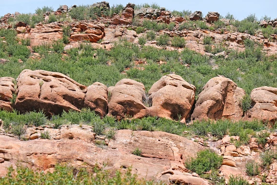 Lory State Park